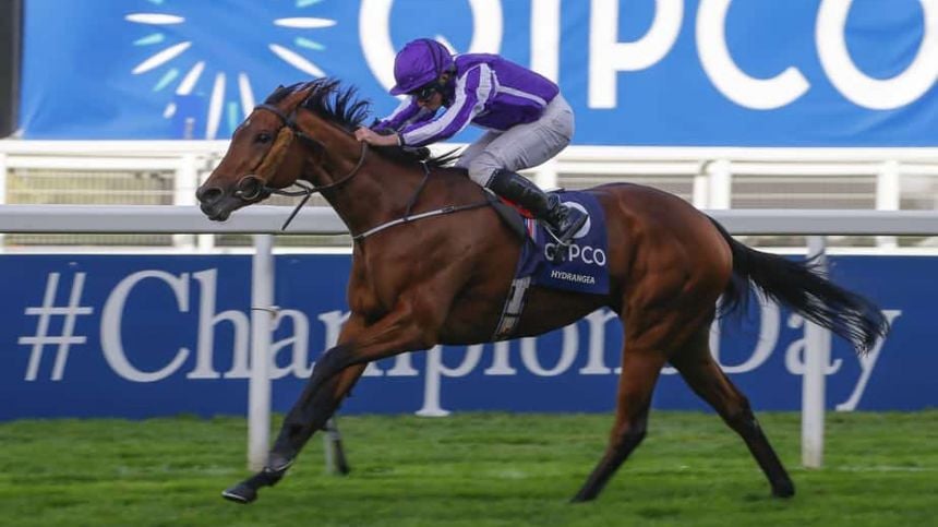 Aidan O'Brien Closes In On New World Record