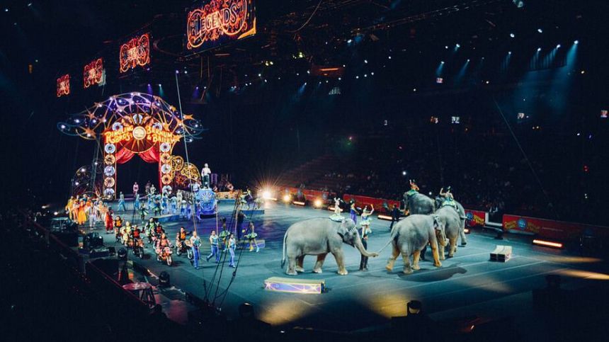 Animal Rights group praises city council for role in circus animals ban