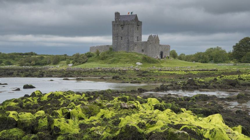 Works underway to repair footpath between Kinvara and Dunguaire