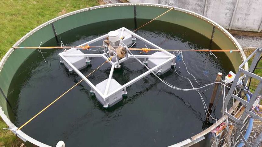 NUI Galway and Athlone IT to lead major aquaculture project