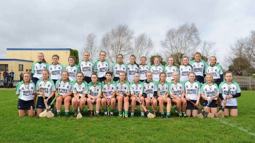 Sarsfields In Search Of A First All-Ireland Senior Club Crown