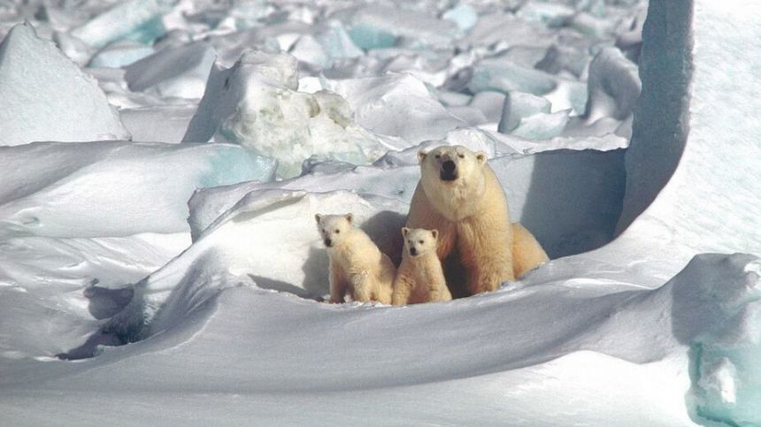 Salthill rally to highlight climate change and extinction