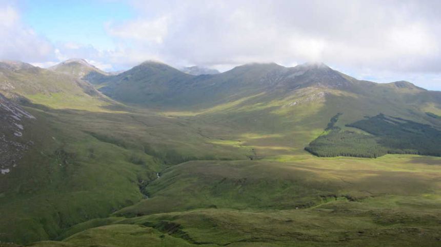 Department defends felling of trees in Connemara National Park