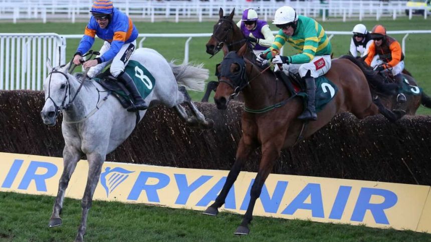 14 Irish trained winners at Cheltenham