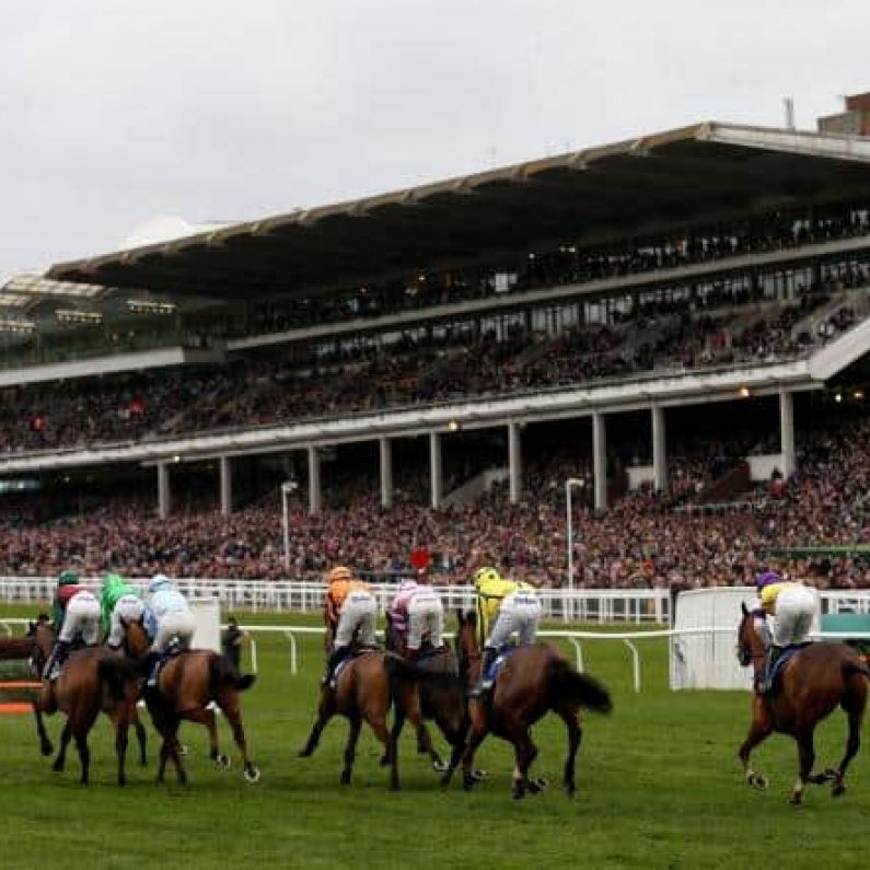 Cheltenham Races - Day 1 Preview