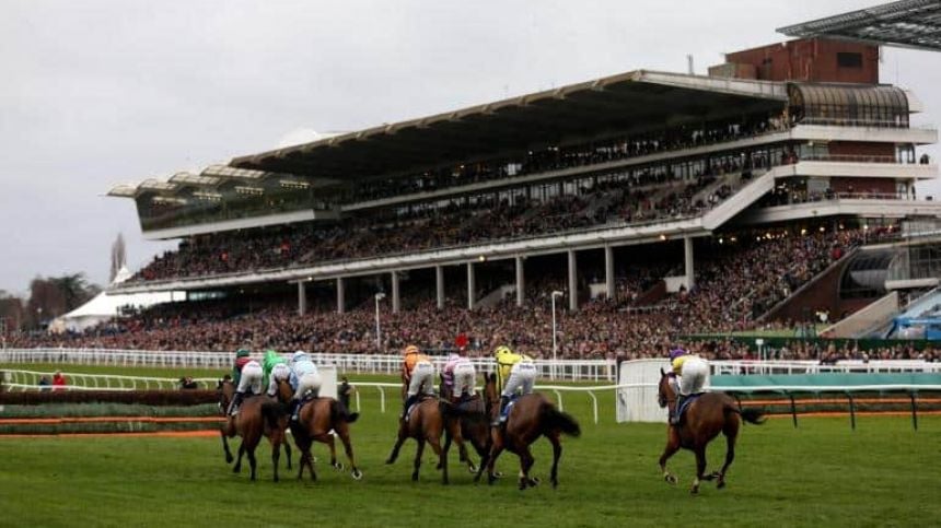 Cheltenham Races - Day 1 Preview