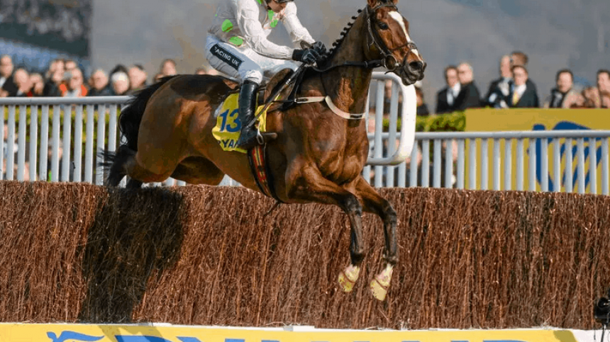 Cheltenham Day 3 Preview