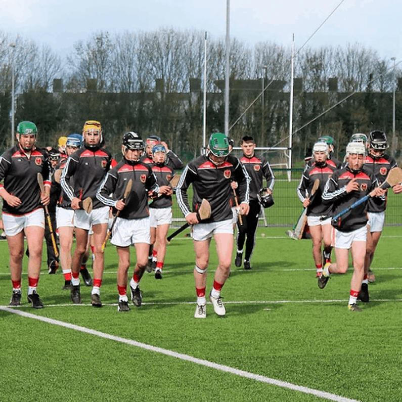 St Raphaels going for glory in All Ireland Colleges Senior B Hurling Final