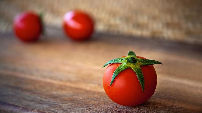 NUIG researchers compile study on development of spicy tomatoes using gene editing technology