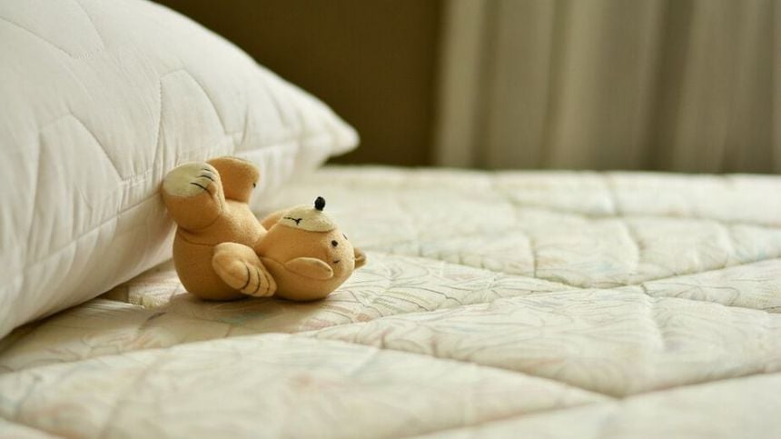 Galway records second highest number of callouts for bed bug infestations