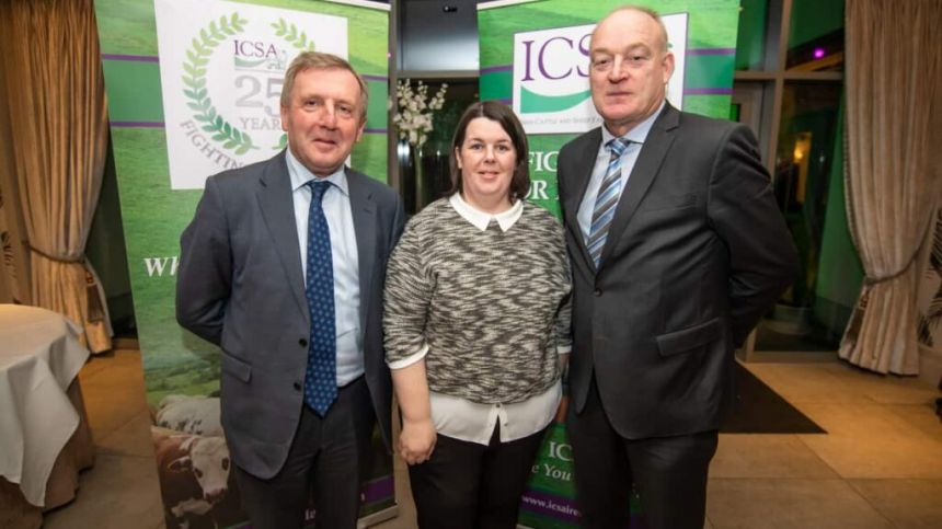 Cortoon woman elected as regional Vice President of Irish Cattle and Sheep Farmers Association