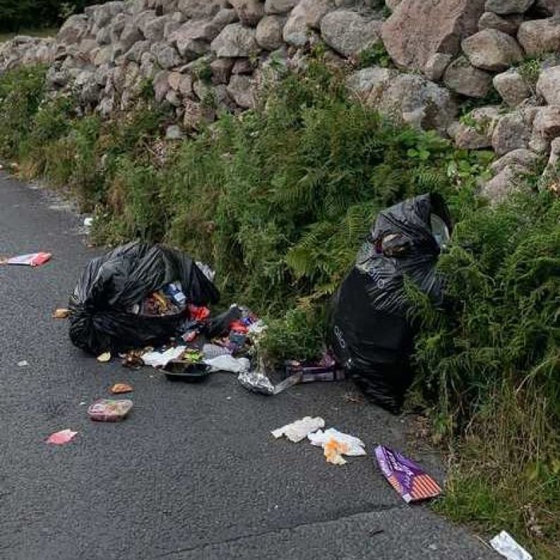 Galway TD calls for fast tracking of law to allow CCTV to prosecute illegal dumping