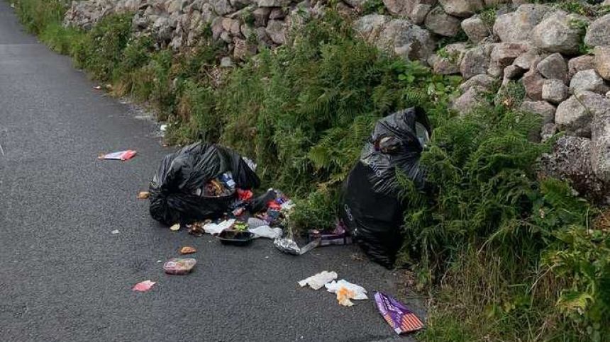 Call for tougher action to tackle 'scourge' of illegal dumping across Galway