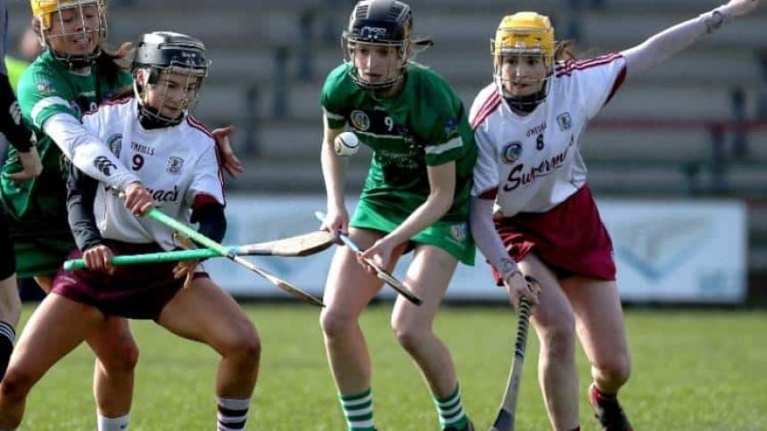 Galway v Limerick senior camogie championship game postponed