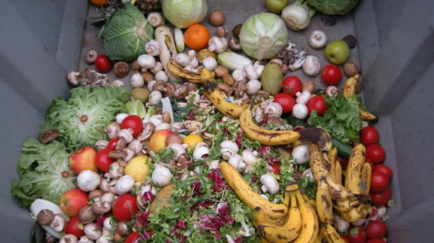 Calls for Galway's food waste to be used in renewable clean energy project