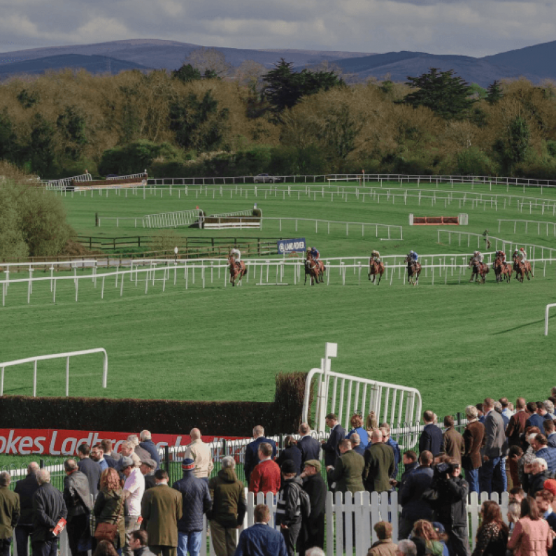 Punchestown Preview - Day 3