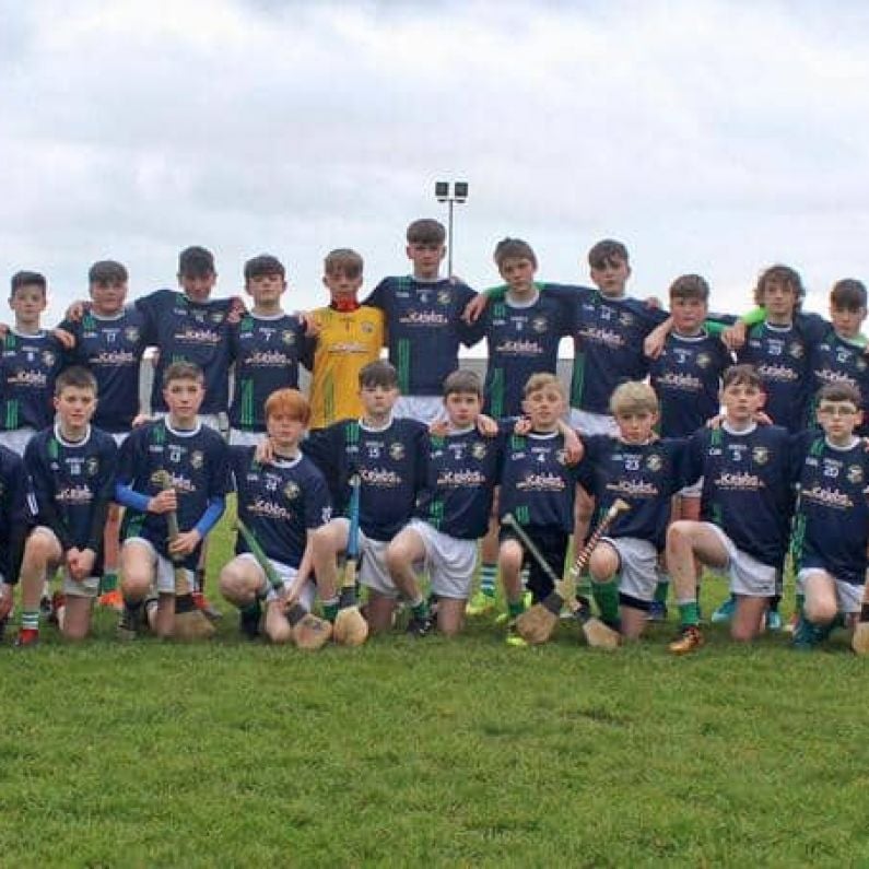 Hurling and Camogie Féile 2019 Preview