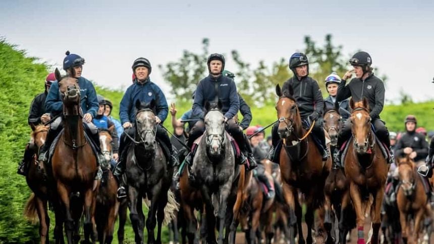 Champions Shaping Up For Pat Smullen Champions Race For Cancer Trials Ireland