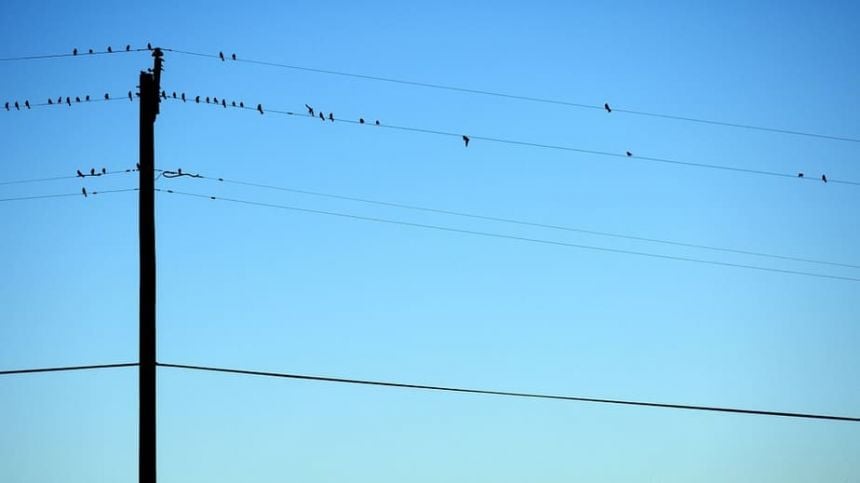 National Broadband Ireland urged to liaise with Galway homeowners over problem telephone poles