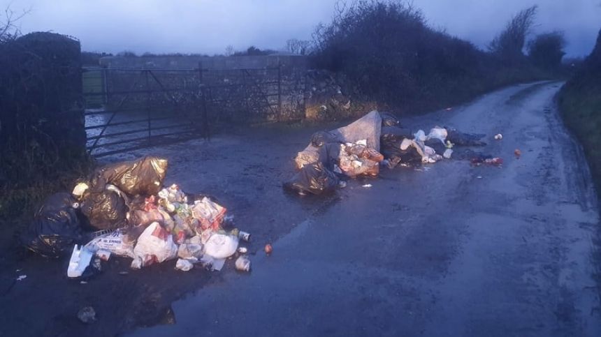 Galway TD urges Taoiseach to change legislation over use of CCTV evidence in illegal dumping cases