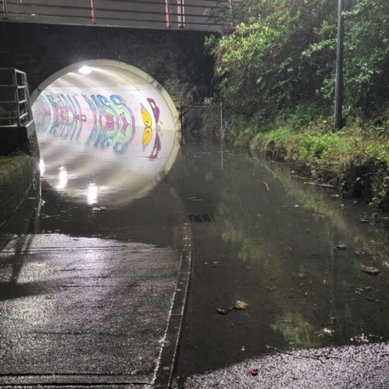 Long term solution being assessed for flooding issues at pedestrian underpass at Briarhill