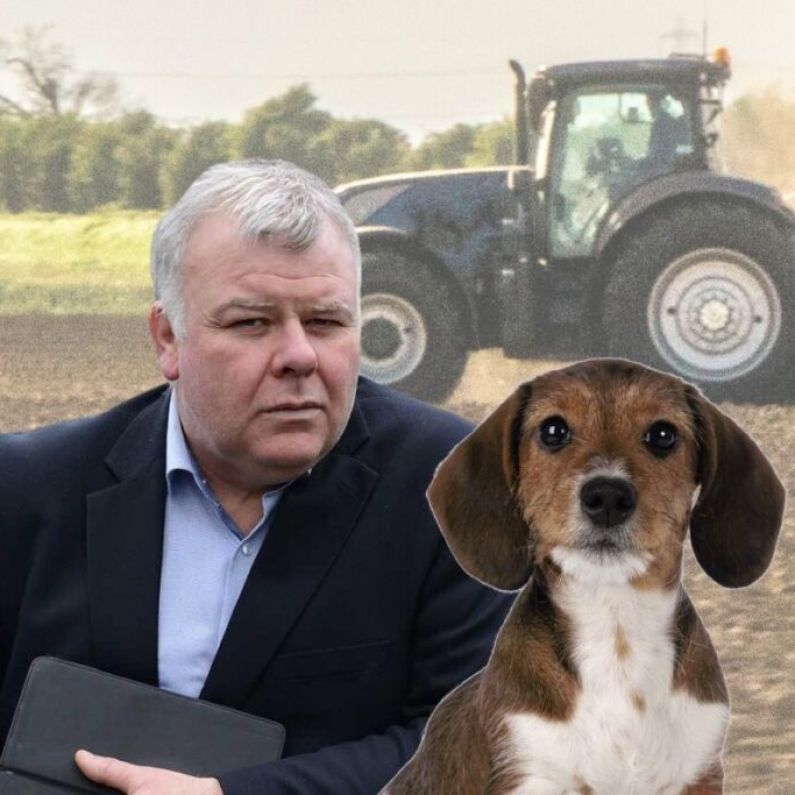 Fitzmaurice says Green Party in Government is "pup pulling the dog"