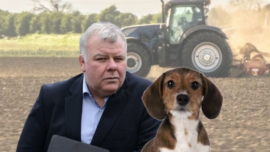 Fitzmaurice says Green Party in Government is "pup pulling the dog"