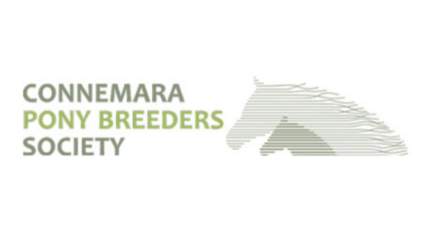 Connemara Pony Breeders Society begins centenary celebrations in Clifden