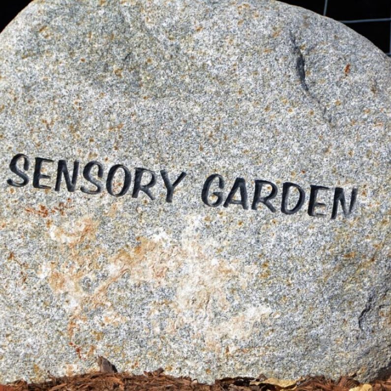 Steps taken for the addition of a Sensory Garden in Loughrea