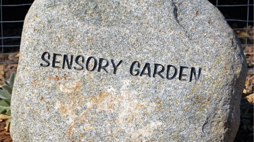 Steps taken for the addition of a Sensory Garden in Loughrea