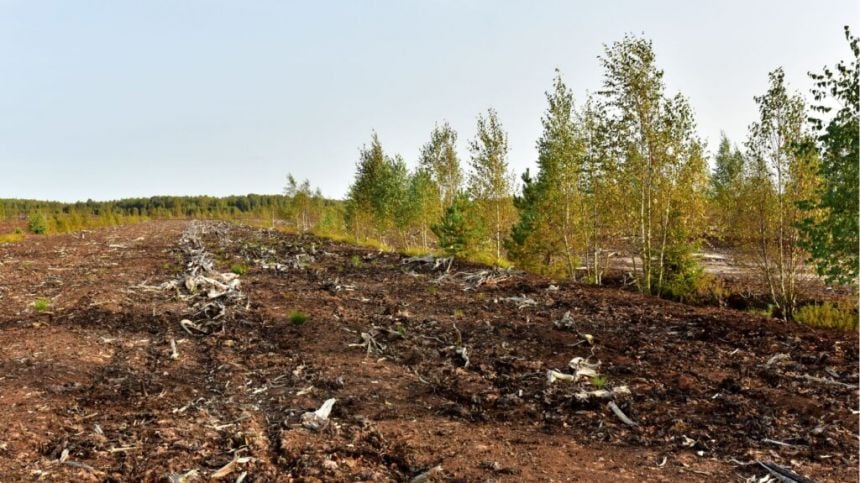 Plans lodged for major peatland restoration project in Connemara