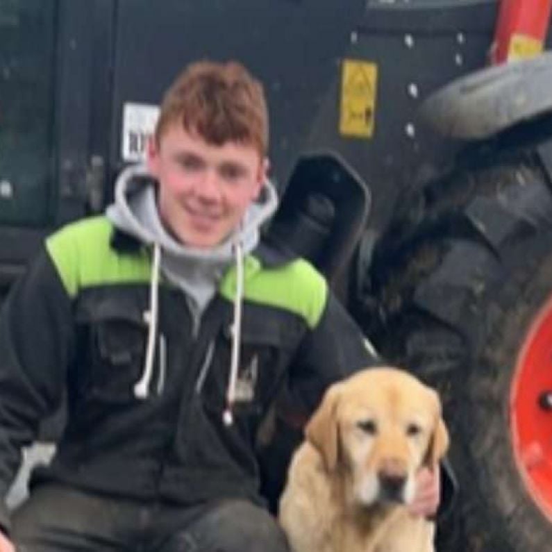 Tributes paid to young man who died in farming accident in Gort