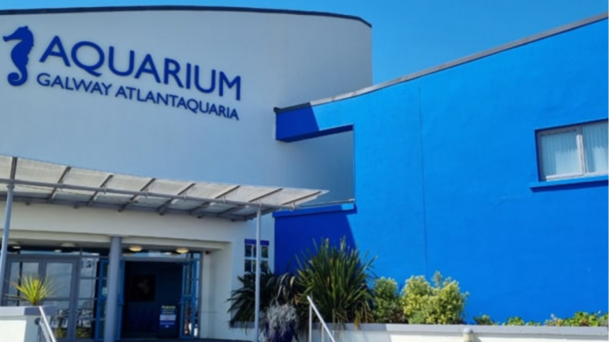 Opportunity for local artists to have work displayed at Salthill aquarium