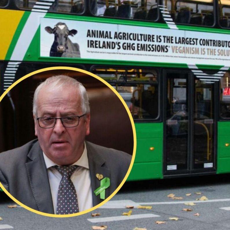 Dáil hears concerns over vegan advertisements on buses in Galway City