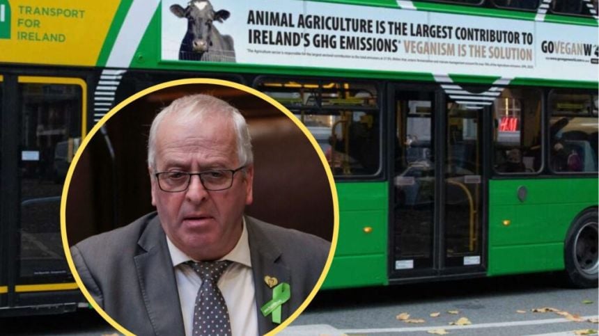 Dáil hears concerns over vegan advertisements on buses in Galway City