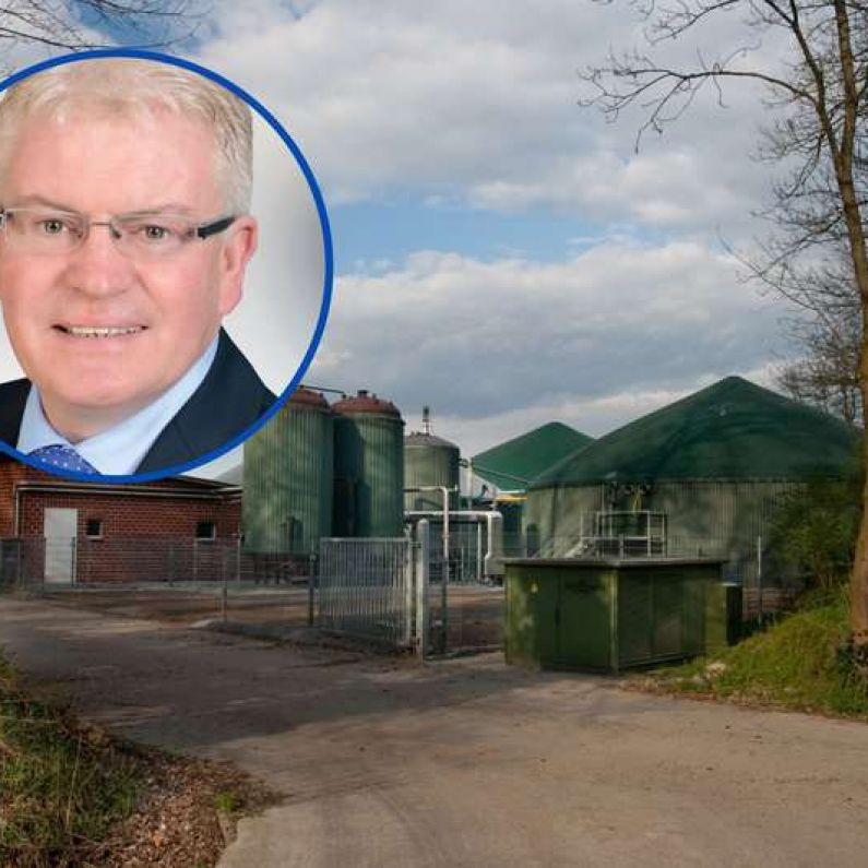 Councillor says "frustration" doesn't cover sentiment in Gort over biogas plant