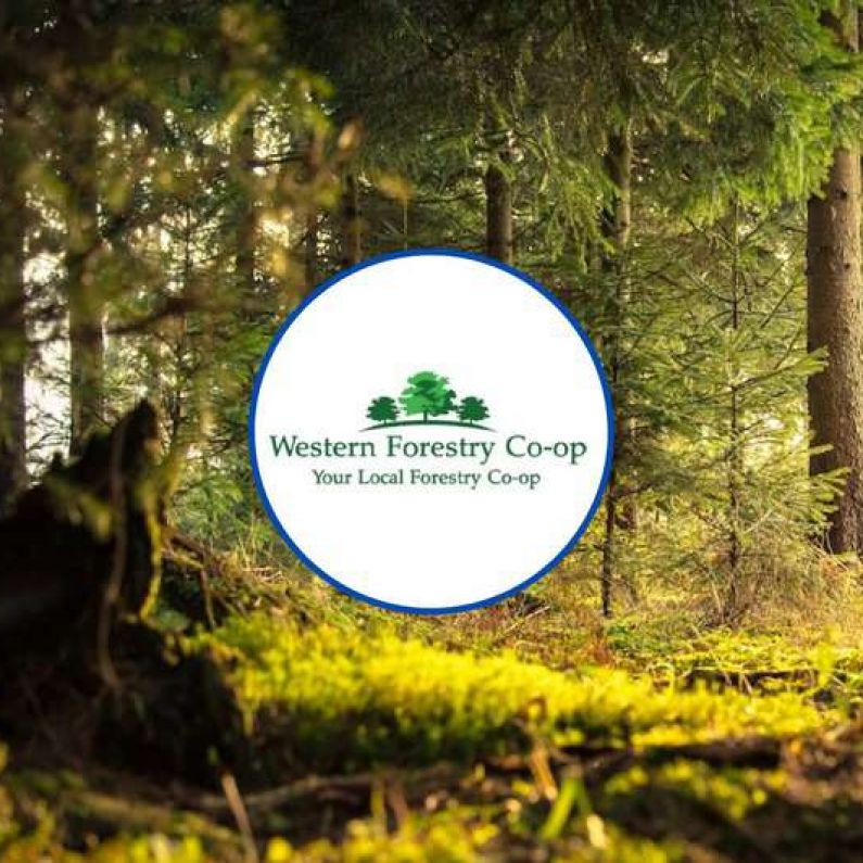 Western Forestry Co-Op claims Government "turning back" on rural Ireland