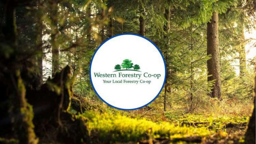 Western Forestry Co-Op claims Government "turning back" on rural Ireland