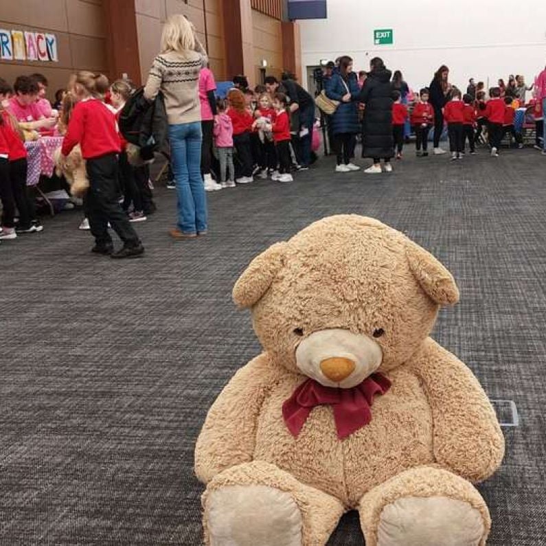 Teddy Bear Hospital at University of Galway wraps up after busy two days