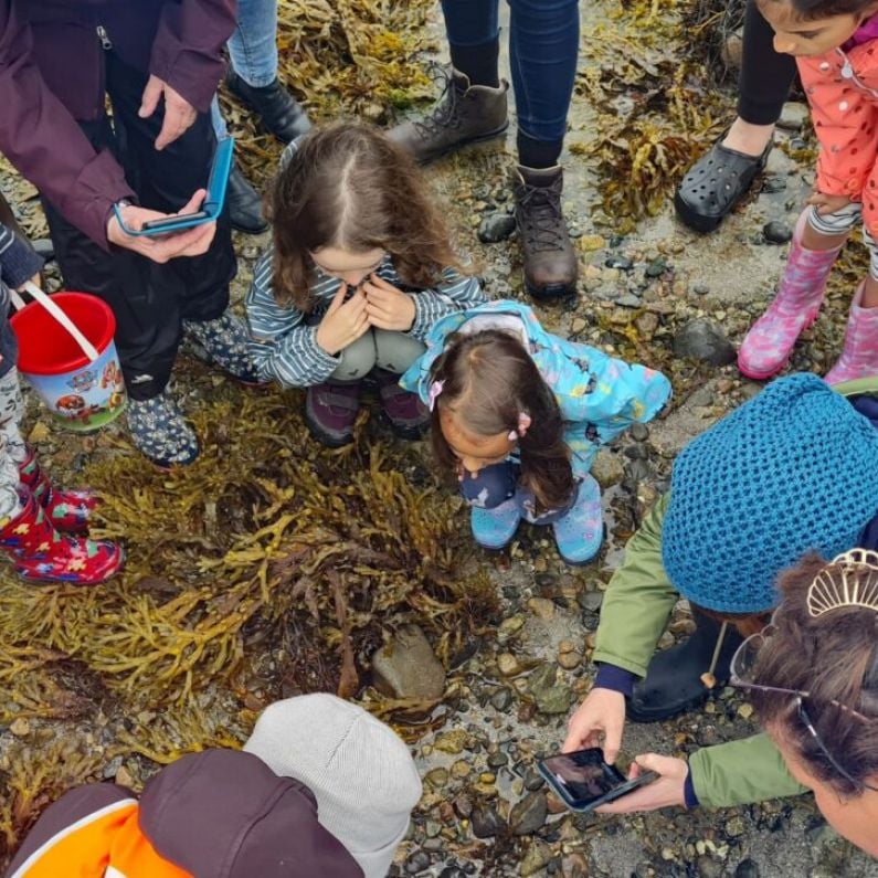 Galway Atlantaquaria to launch programme of events with Explore Your Shore