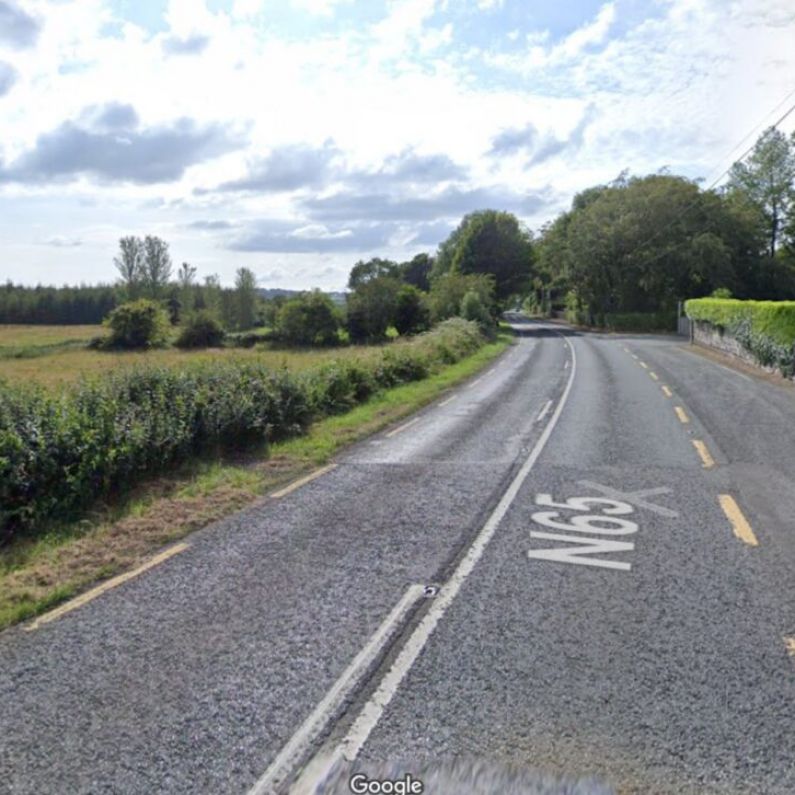 Demand for urgent safety measures on N65 near Kilcooley National School