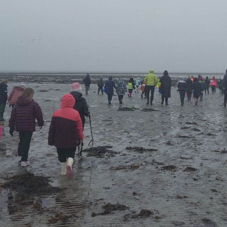 Interesting finds during Galway Atlantaquaria's rockpooling session