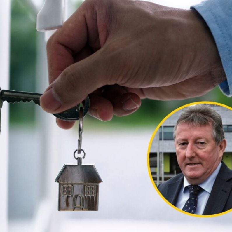 Local TD says landlords being unfairly "demonised" over housing crisis