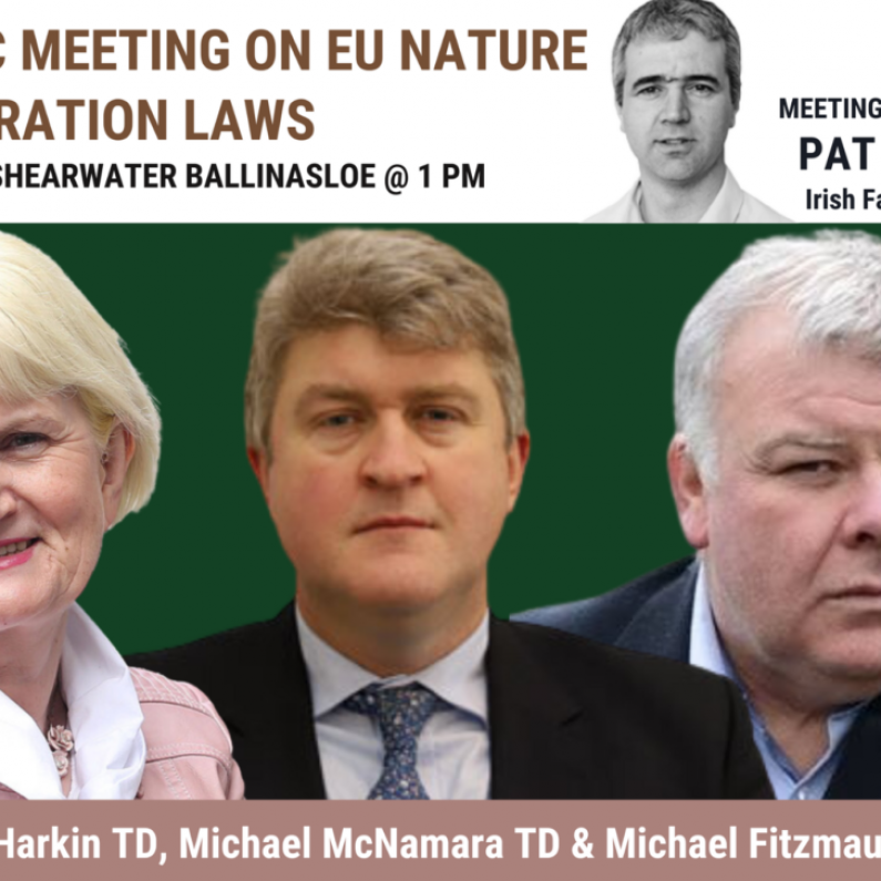 Ballinasloe to host Significant Public Meeting tomorrow to discuss controversial Nature Restoration Laws