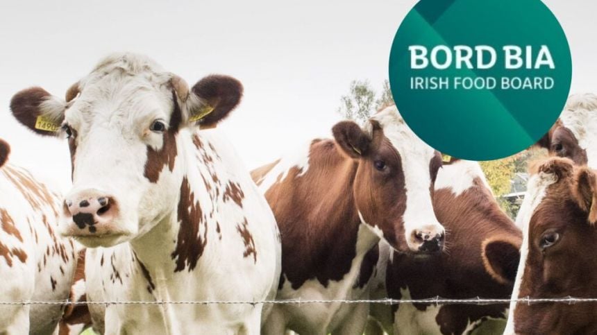 Galway applicants to new suckler scheme urged to join Bord Bia