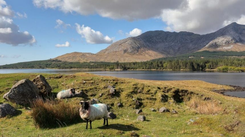 Long standing Connemara festivals vital asset to local economy