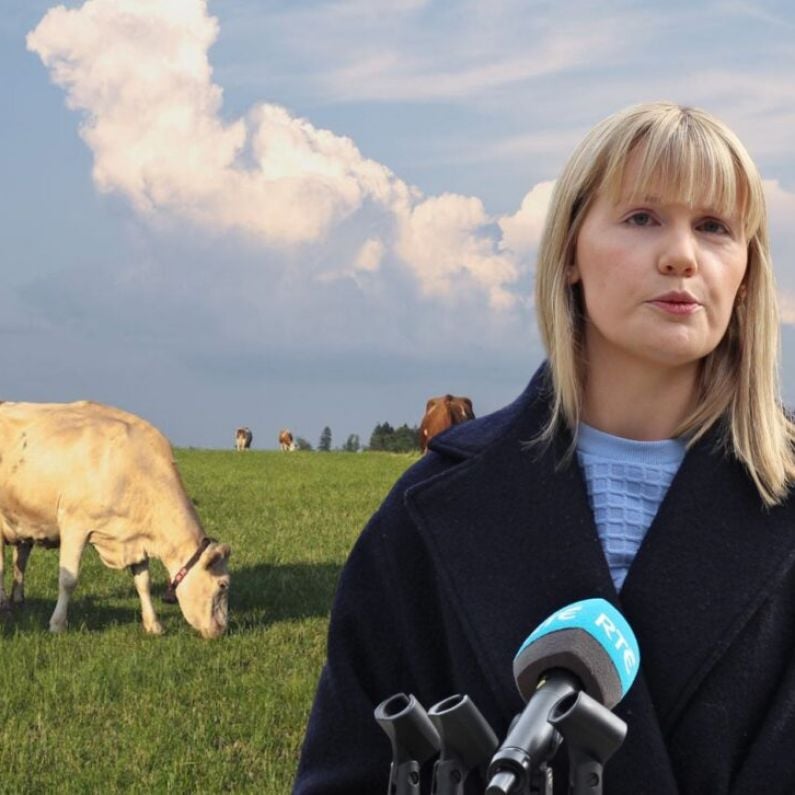 Kerrane "resents" automatic jump to cutting national herd for climate change