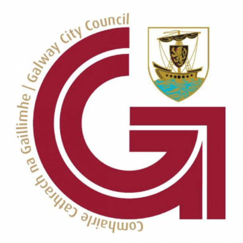 Galway City Council launches online community clean-up resource