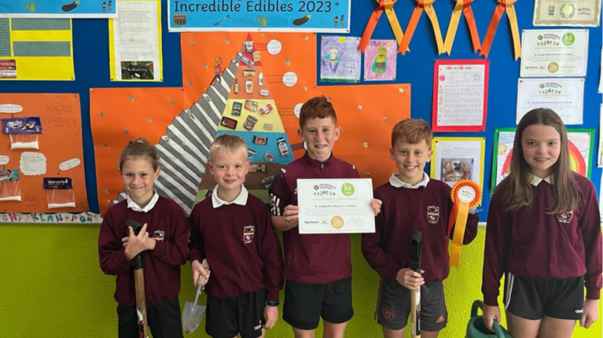 Kinvara School St Joseph's is named overall Incredible Edibles winner for 2023