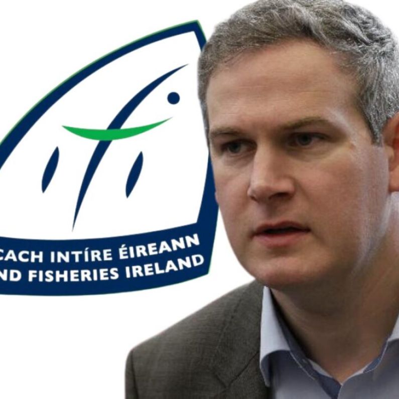 Sean Kyne renews criticism of Inland Fisheries Ireland over PAC appearance